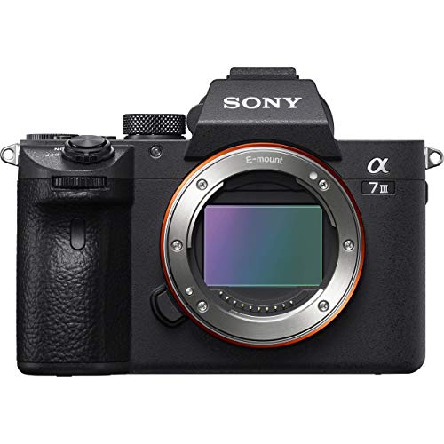 Sony a7 III spiegellose Vollformatkamera mit Wechselobj...