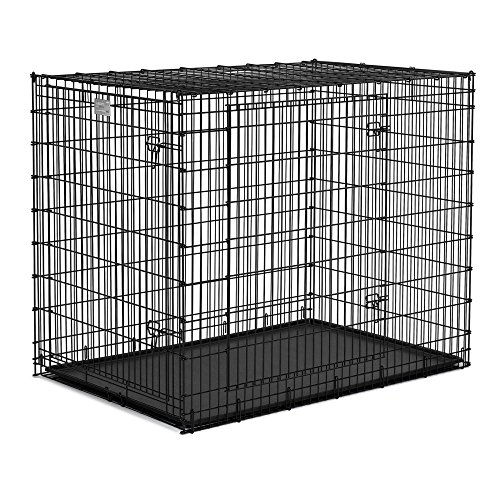 MidWest Homes for Pets Midwest Solutions Series Ginormus Doppeltür-Hundebox