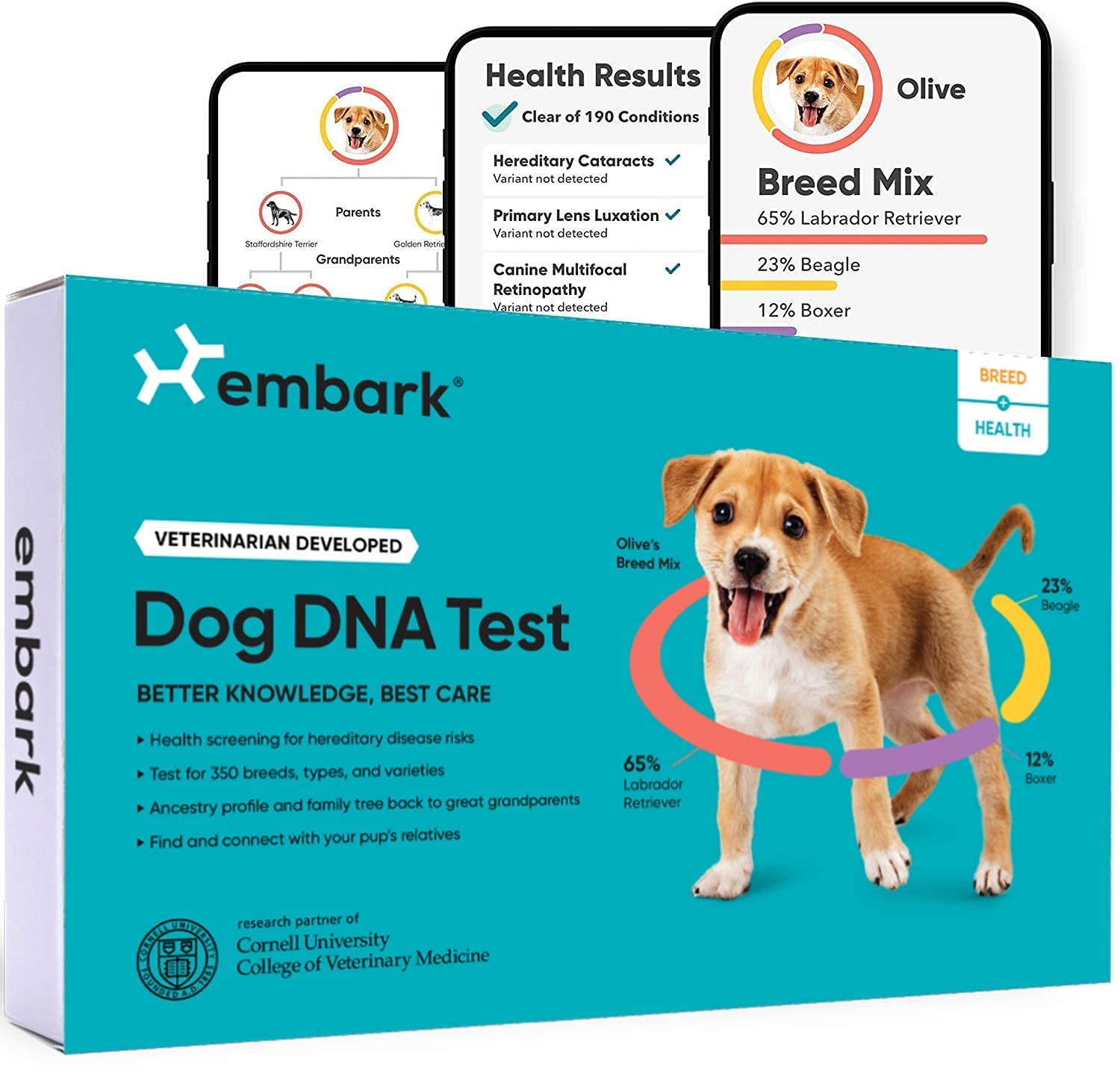 Embark Hunde-DNA-Testkit | Entdeckung von Rasse und genetischer Abstammung | Merkmals- und Gesundheitserkennung | Wangenabstrich für zu Hause