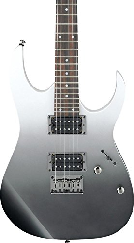 Ibanez RG421 E-Gitarre