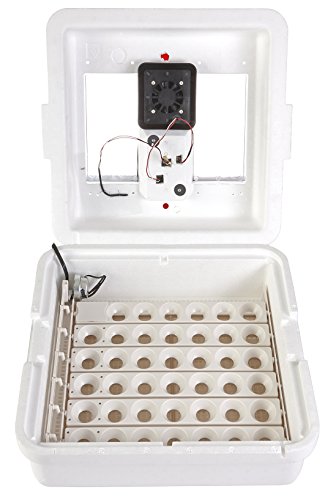 Little Giant Digitaler Umluftbrutschrank mit automatischem Wender (41 Eier) Eierbrutschrank mit Ventilator und Eierwender (Art.-Nr. 11300)