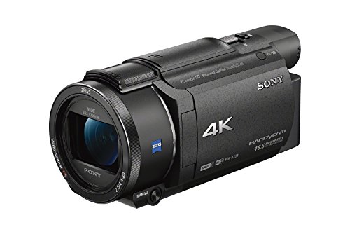 Sony FDRAX53/B 4K HD-Videoaufzeichnungs-Camcorder (Schwarz)