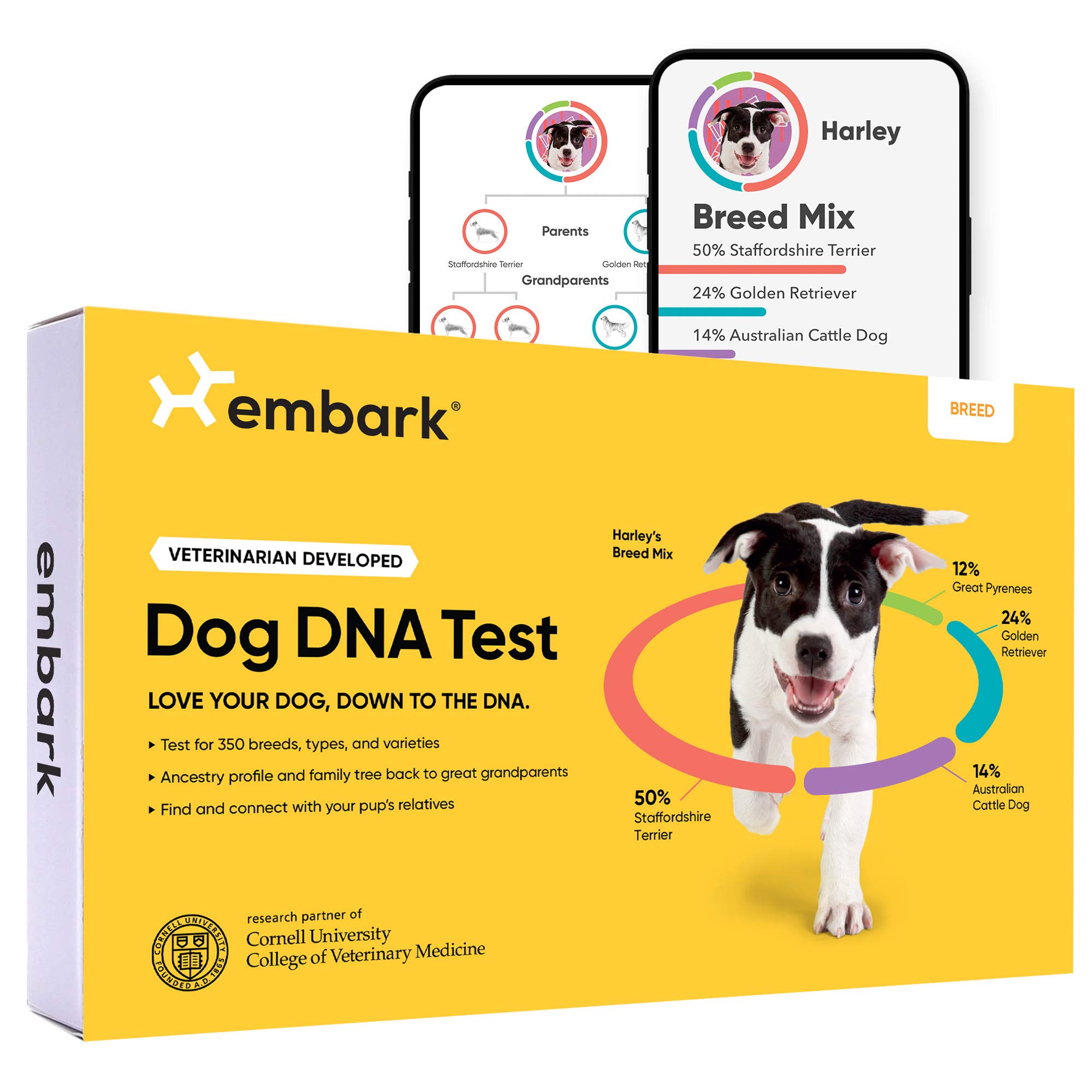 Embark Kit zur Rassenidentifizierung | Genauester Hunde-DNA-Test | Testen Sie über 350 Hunderassen | Rassen-ID-Kit mit Abstammung und Stammbaum