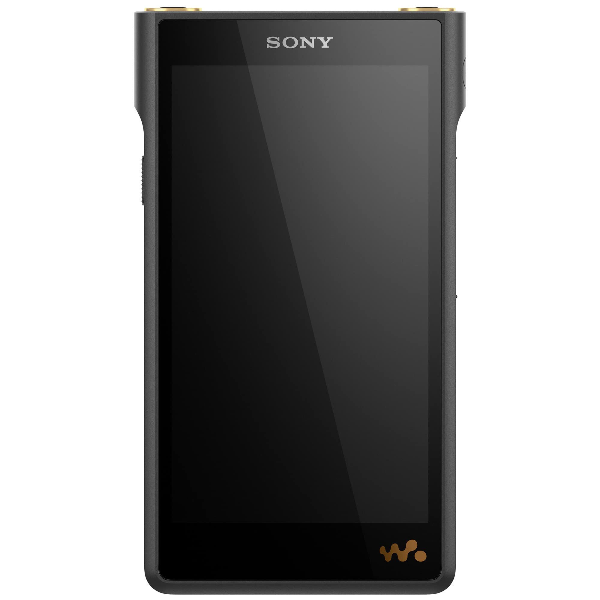 Sony NW-WM1AM2 Hi-Res 128 GB Walkman Digitaler M...