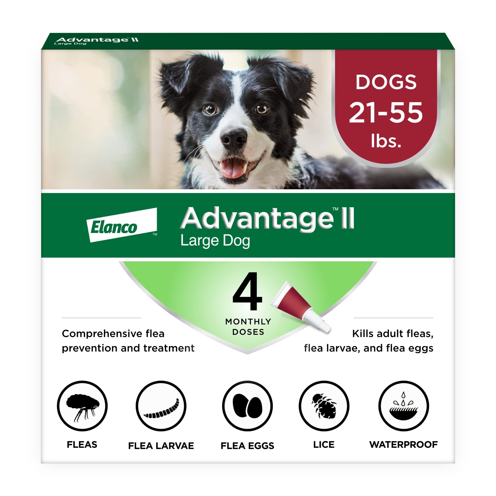 Advantage II Flohprävention und -behandlung für große Hunde (21-55 Pfund)