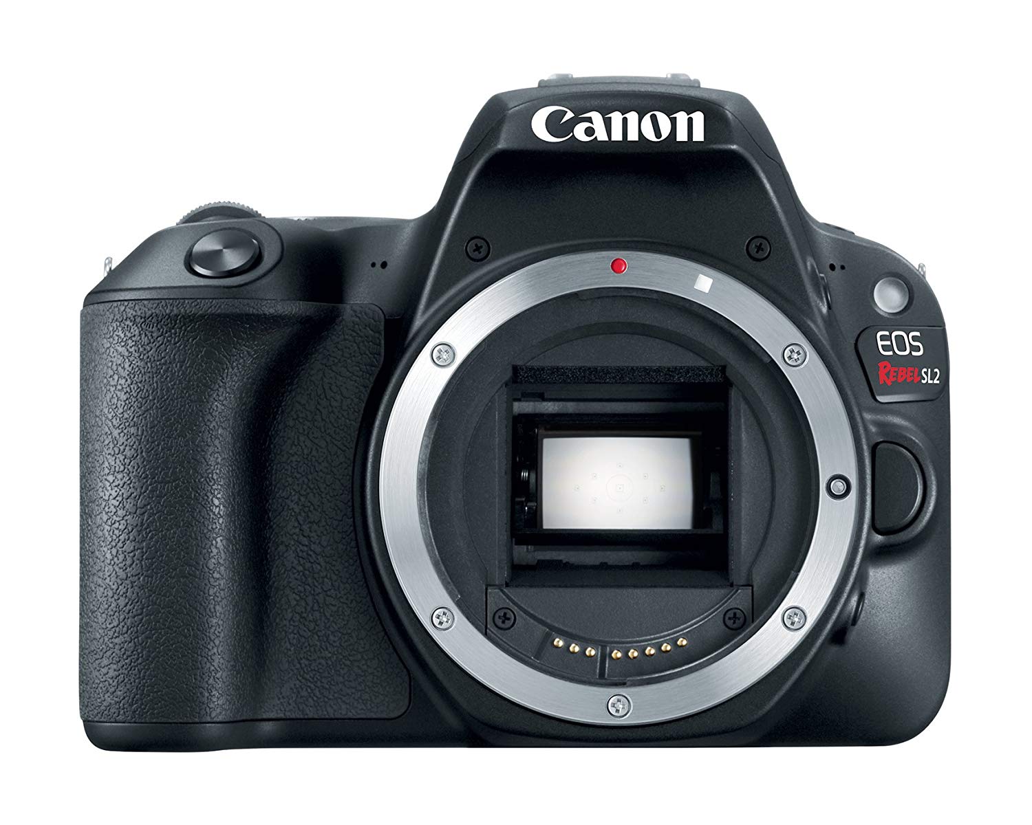 Canon EOS Rebel SL2 Digital SLR-Kameragehäuse - WiFi aktiviert